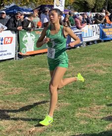 article image - Zeng finish